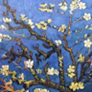 Meet your Posher, Tracey